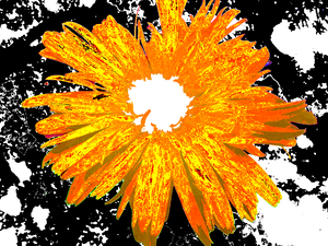 Abstract Orange Daisy Too