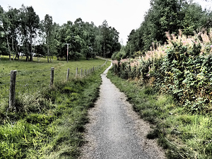 Summers Trail through the Scottish Highlands                                                                                                                     