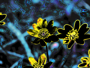  Abstract Yellow Flowers                                                                                                                    
