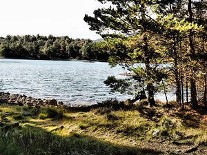 Scottish Highlands Tranquil Lochside in Autumn                                                                                                                      
