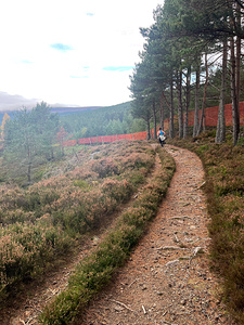 Scenes from the Trail- Runner