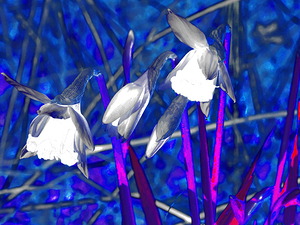 Abstract Psychedelic Daffodils                                                                                                                     