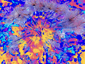 Vibrant Abstract Dandelion Seeds  