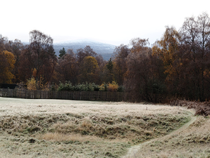 Scottish Highlands Frosty Forest Edge                                                                                                                     