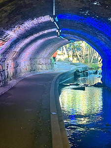 Impressionistic River Side Tunnel Walk Way in the Scottish Highlands 