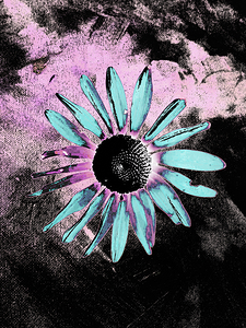 Abstract Surreal Daisy  1
