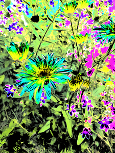 Abstract Surreal Blossoms