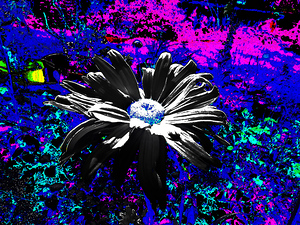 Abstract Psychedelic Daisy Flower
