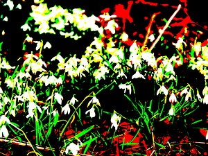  Abstract Snow Drops                                                                                                              