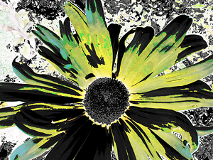 Abstract Green and Yellow Daisy