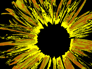 Abstract Daisy Flower Close Up