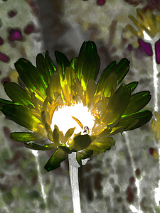 Abstract Impressionistic Glowing Illuminated Daisy Flower