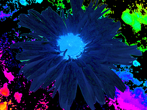 Abstract Bright Neon Dark Daisy Flower