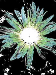 Abstract Vibrant Green and Blue Daisy Flower