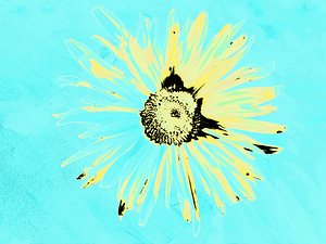 Abstract Solitary Daisy Flower on a Coloured Abstract Background