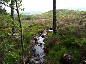 A Wee Burn in the Scottish Highlands                                                                                                                     