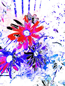 Abstract Red and Blue Daises