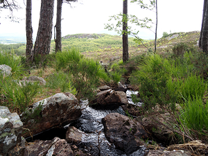  The Burn in the Scottish Highlands                                                                                                                    