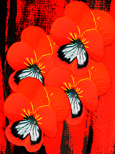  Abstract Red Pansy Bouquet 