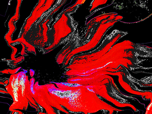 Abstract Red and Black Flowing Daisy Flower
