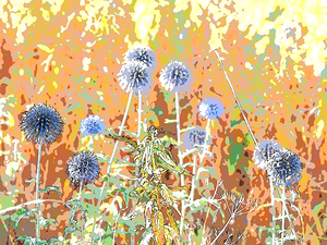   Abstract Vibrant Globe Thistle                                                                                                                   