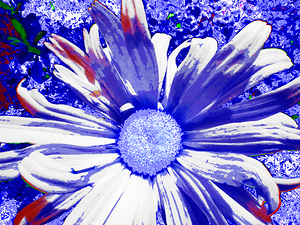 Abstract Vibrant Blue and White Daisy