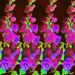 Abstract Foxgloves