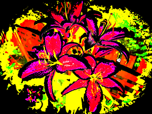 Abstract Lily Floral Explosion                                                                                                                     