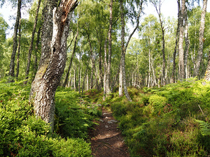 Springs Trail through the Scottish Highlands                                                                                                                     
