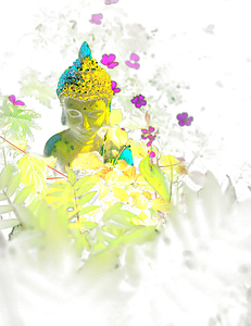 Zen in the Scottish Highlands 