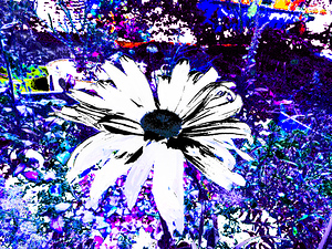 Abstract Psychedelic Surreal Daisy Flower