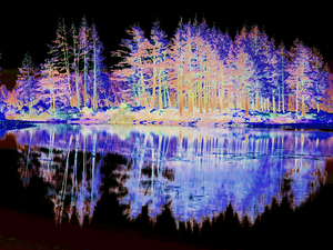 Scottish Highlands Vibrant Forest Reflections                                                                                                                     