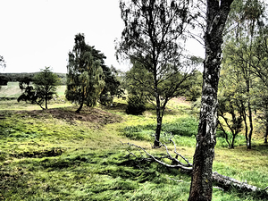  Scottish Highlands Peaceful Countryside                                                                                                                    