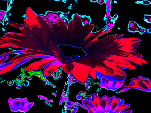 Abstract Psychedelic Neon Daises