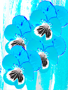   Abstract Blue Pansy Bouquet 