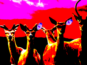 Abstract Colourful Deer in a Vibrant Landscape