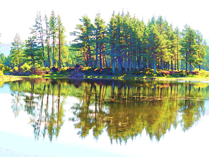  Scottish Highlands Peaceful Forest Reflection                                                                                                              