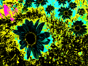 Abstract Daises on an Abstract Background 