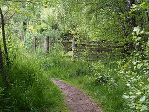   Scottish Highlands Rustic Gate                                                                                                                   