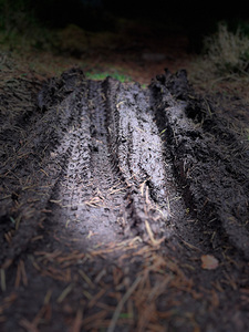 Scenes from the Trail - Muddy Bike Tracks  