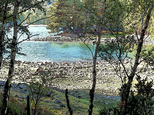  Loch Vaa through the Trees                                                                                                                    