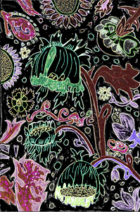 Abstract Floral Poppies