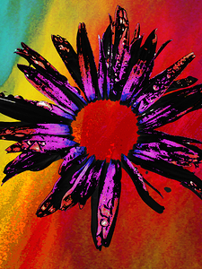 Abstract Purple Daisy