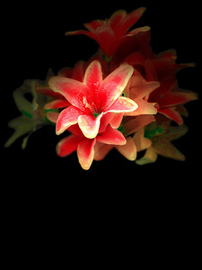 Abstract Red and Yellow Lilies