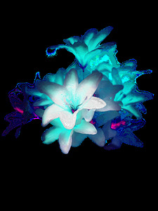 Abstract Teal Lilies