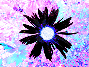 Abstract Vibrant Psychedelic Daisy Flower 
