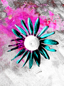 Abstract Daisy Flower on a Coloured Background