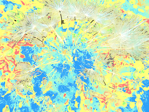 Cool Abstract Dandelions Seeds 