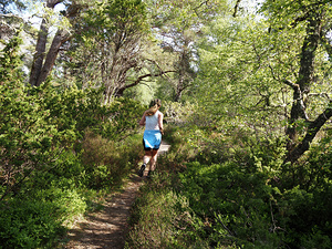 Scottish Highlands Trail Runner                                                                                                                     