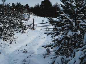  Scottish Highlands Snow Covered Trail                                                                                                                     